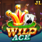 Wild Ace pg gaming slot